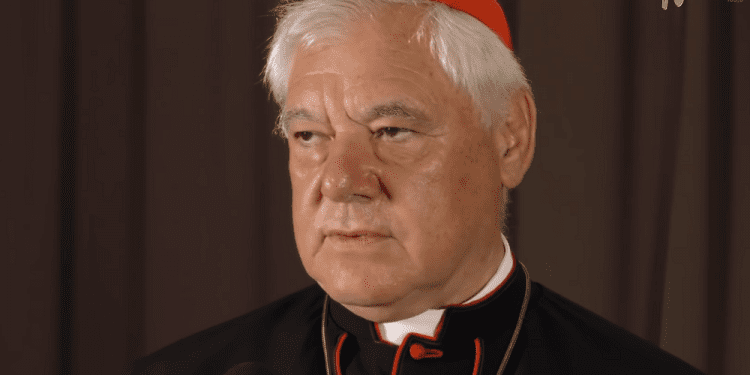 Niemiecki kardynał zabrał głos ws. demokracji w Polsce. Zaapelował do UE