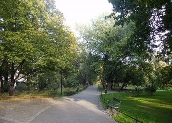 Kraków: Makabryczne odkrycie na Plantach! Morderstwo, czy samobójstwo?