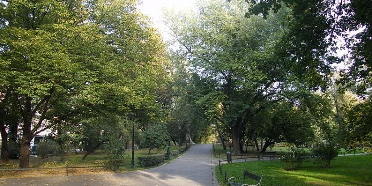 Kraków: Makabryczne odkrycie na Plantach! Morderstwo, czy samobójstwo?