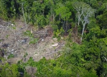 Brazylia: Udostępnili nagranie ukazujące izolowane plemię. Nie wiadomo, jak się nazywa [WIDEO]