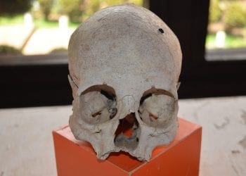 W „warmińskich Pompejach” odkryto szkielet ofiary najazdu Litwinów z 1354 r.