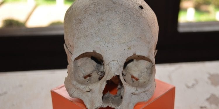 W „warmińskich Pompejach” odkryto szkielet ofiary najazdu Litwinów z 1354 r.