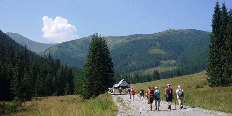 Oburzające zachowanie turystki w Tatrach. Groziła ratownikom TOPR: „Będzie miał pan prze…”