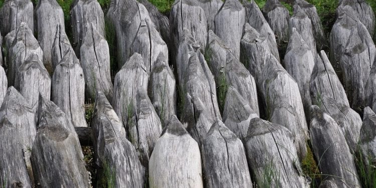 Podlaskie: Odkryto ślady osady obronnej z podobnego okresu, co Biskupin