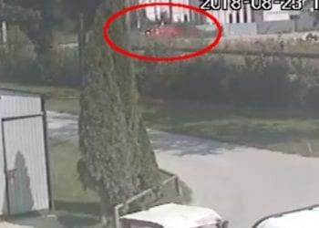 Zginęła podczas egzaminu na prawo jazdy. Ujawniono nagranie z monitoringu [WIDEO]