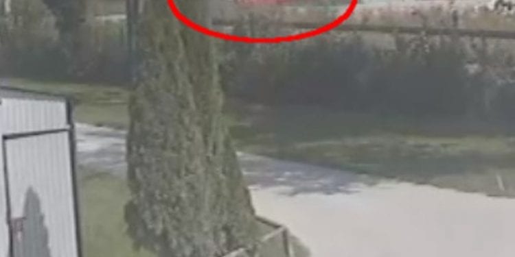 Zginęła podczas egzaminu na prawo jazdy. Ujawniono nagranie z monitoringu [WIDEO]