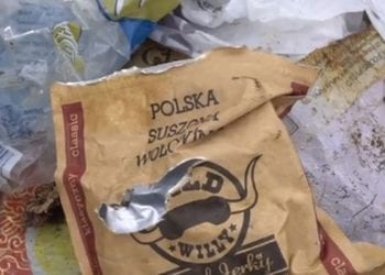 Polacy zostawili sterty śmieci pod K2?! Nasi himalaiści reagują na opublikowane w sieci nagranie [WIDEO]