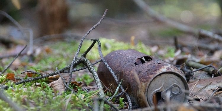 Śmieci w lesie to śmiertelna pułapka dla małych zwierząt!