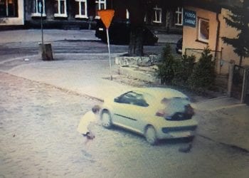 Gdańsk: Kierowca potrącił małego psa. Nagrano dramat dziecka [WIDEO]