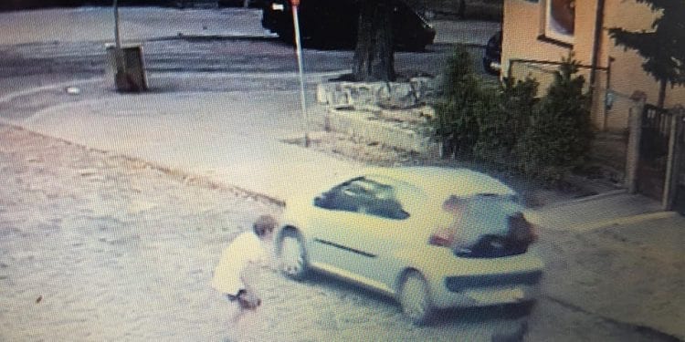 Gdańsk: Kierowca potrącił małego psa. Nagrano dramat dziecka [WIDEO]