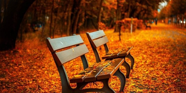 Już w najbliższą niedzielę rozpocznie się astronomiczna jesień. Co to oznacza?