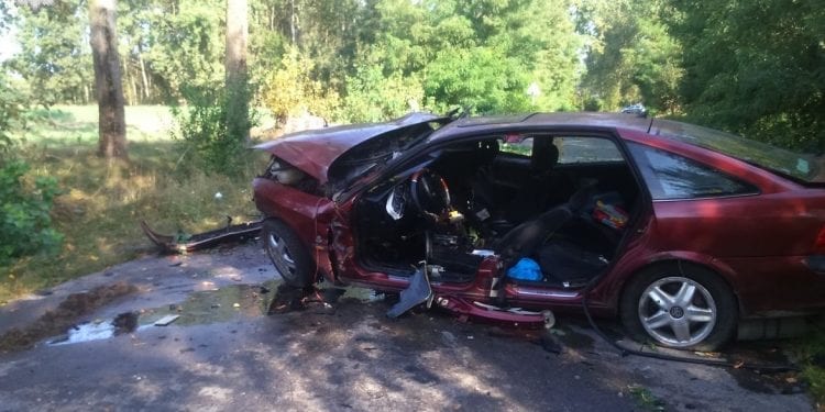 Lubelskie: Kompletnie pijany uderzył samochodem w drzewo. Jego żona zginęła na miejscu, osierociła trójkę dzieci