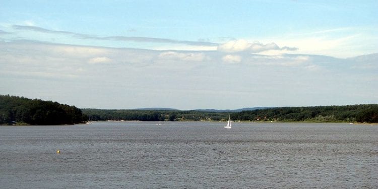 Wędkarz został wciągnięty do wody przez rybę. „Miałem branie”