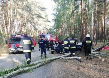 Tragedia w woj. lubuskim: Nie żyje małżeństwo. Uwięziona w aucie kobieta czekała na pomoc przez całą noc