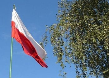 Sondaż CBOS: PiS zdecydowanym liderem w wyborach do sejmików wojewódzkich