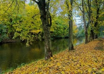 Gdzie najchętniej jeździmy jesienią? Oto najpopularniejsze miejsca w Polsce