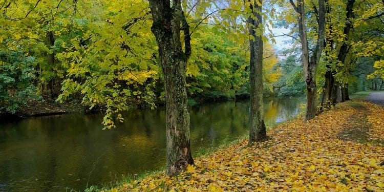 Gdzie najchętniej jeździmy jesienią? Oto najpopularniejsze miejsca w Polsce