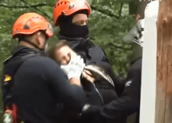 Niemiecka policja brutalnie pacyfikuje ekologów, którzy okupują las. „Gdzie jesteś Brukselo?” [WIDEO]