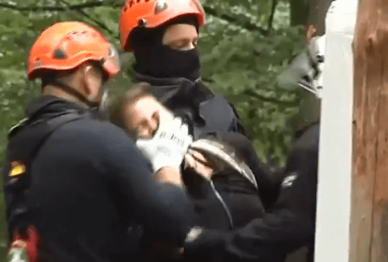 Niemiecka policja brutalnie pacyfikuje ekologów, którzy okupują las. „Gdzie jesteś Brukselo?” [WIDEO]