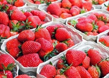 Ekspertka: zwracajmy uwagę, co kryje się za produktem „eko” czy „bio”