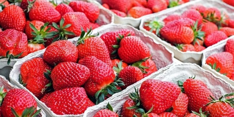 Ekspertka: zwracajmy uwagę, co kryje się za produktem „eko” czy „bio”