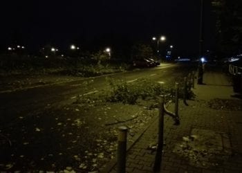 Fatalne skutki nocnej wichury. Brak prądu, powalone drzewa, uszkodzone samochody [FOTO]