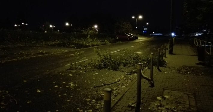 Fatalne skutki nocnej wichury. Brak prądu, powalone drzewa, uszkodzone samochody [FOTO]