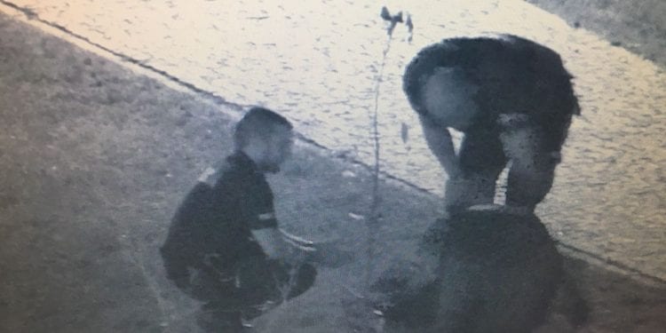 Podczas libacji wpadł do stawu. Pijani koledzy nawet nie zauważyli, że zniknął w wodzie