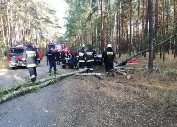 Tragedia w woj. lubuskim. Uwięziona w aucie kobieta godzinami czekała na pomoc, obok leżał martwy mąż