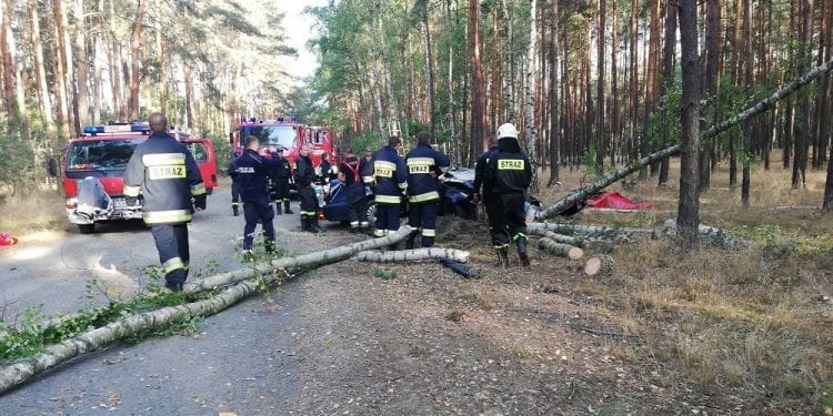 Tragedia w woj. lubuskim. Uwięziona w aucie kobieta godzinami czekała na pomoc, obok leżał martwy mąż