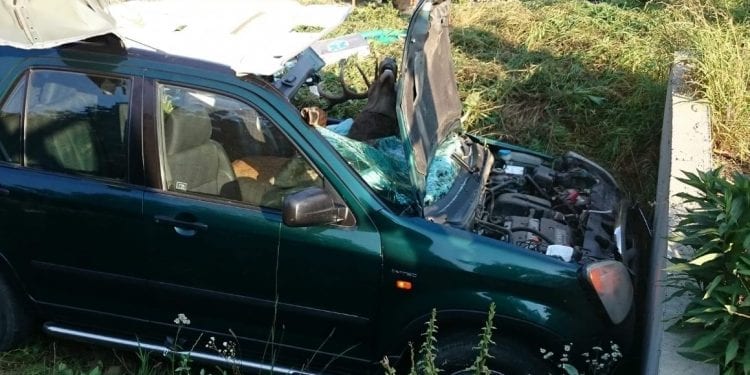 Uczestników tego wypadku uratował chyba cud. W auto uderzył jeleń. Strażacy publikują zdjęcia [FOTO]