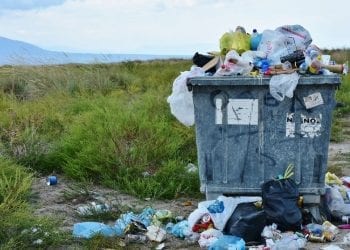 Nie segregujesz śmieci? Możesz dostać mocno po kieszeni! Rząd planuje nowelizację ustawy