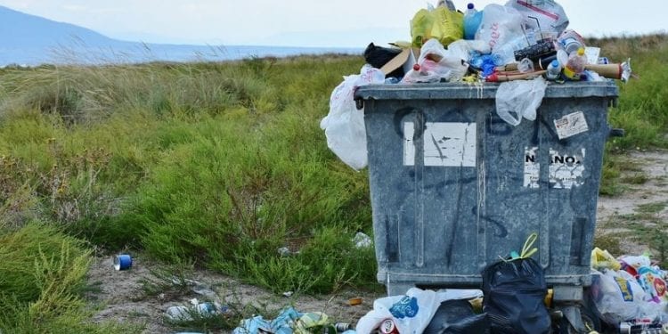 Nie segregujesz śmieci? Możesz dostać mocno po kieszeni! Rząd planuje nowelizację ustawy