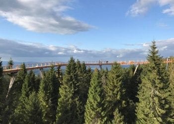 W polskich Tatrach również powstanie chodnik w koronach drzew!