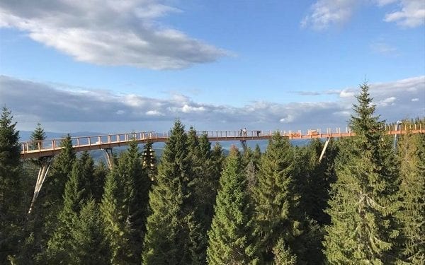 W polskich Tatrach również powstanie chodnik w koronach drzew!