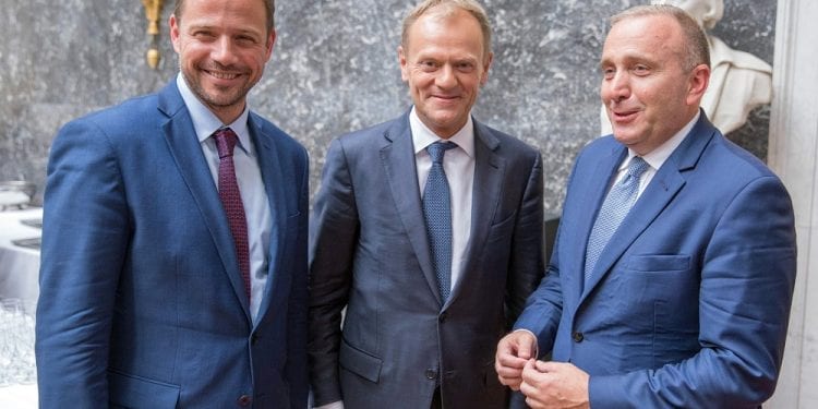 Schetyna: Jeżeli wygramy wybory parlamentarne, to prezydenckie będą wisienką na torcie