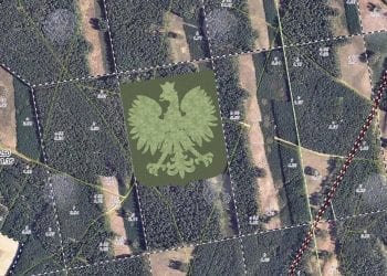 Gigantyczny orzeł utworzony ze 100 tysięcy drzew. Wspaniała inicjatywa leśników podbija internet! [FOTO]