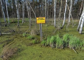 Polacy opracowali sposób wytwarzania termobarycznego materiału wybuchowego