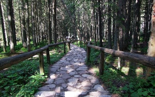 Pijani do nieprzytomności turyści w Tatrach. Konieczna była interwencja pogotowia