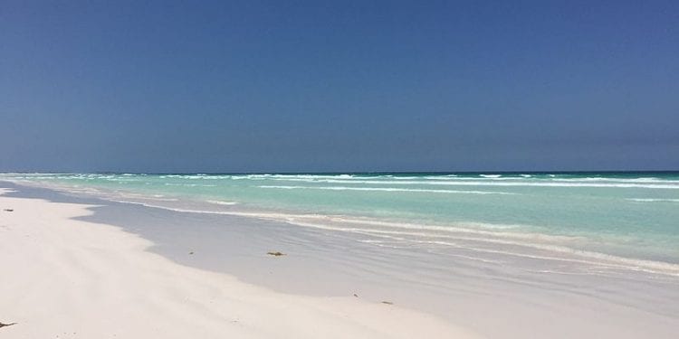 Australia: Znaleziono najstarszy list w butelce. Napisano go w XIX w.