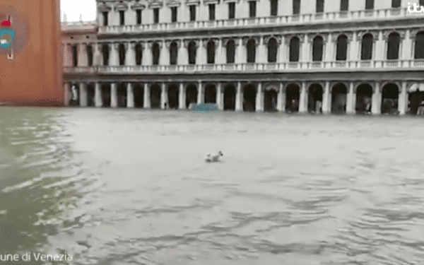 Powódź we Włoszech. 75 proc. Wenecji pod wodą, całkowicie zalany m.in. plac św. Marka [WIDEO]