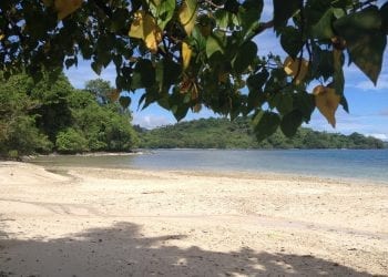 Wyspa na terenie Fidżi wystawiona na sprzedaż