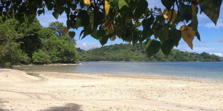 Wyspa na terenie Fidżi wystawiona na sprzedaż