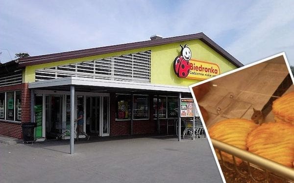 Myszy na stoisku z wypiekami w Biedronce. Sieć wydaje oświadczenie [FOTO]