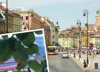 Wpadka w sztabie Jakiego. Koszmarny błąd ortograficzny na plakacie [FOTO]