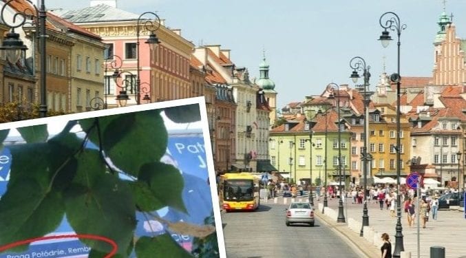 Wpadka w sztabie Jakiego. Koszmarny błąd ortograficzny na plakacie [FOTO]