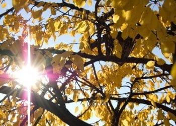 Pogoda na weekend: Będzie dużo słońca. Temperatura w niedzielę może nas zaskoczyć