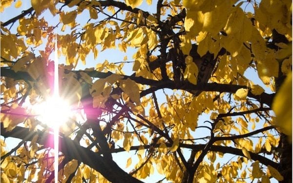 Pogoda na weekend: Będzie dużo słońca. Temperatura w niedzielę może nas zaskoczyć