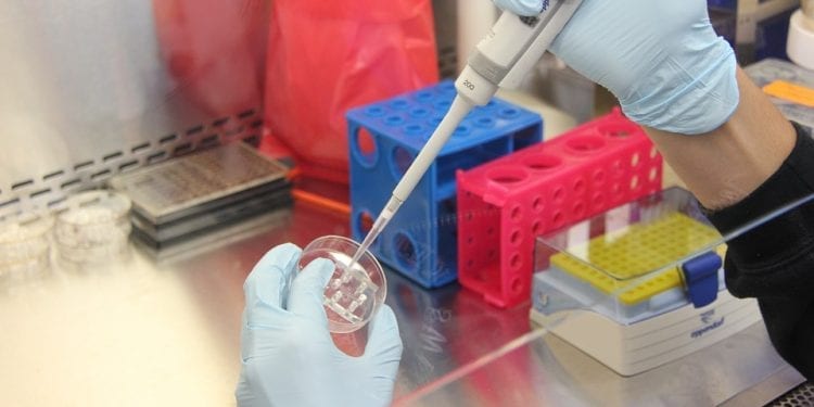 Eksperci: krew pępowinowa może być przydatna w leczeniu autyzmu i porażenia dziecięcego