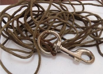 Białystok: Ciągnął psa za samochodem. Policja szuka sprawcy